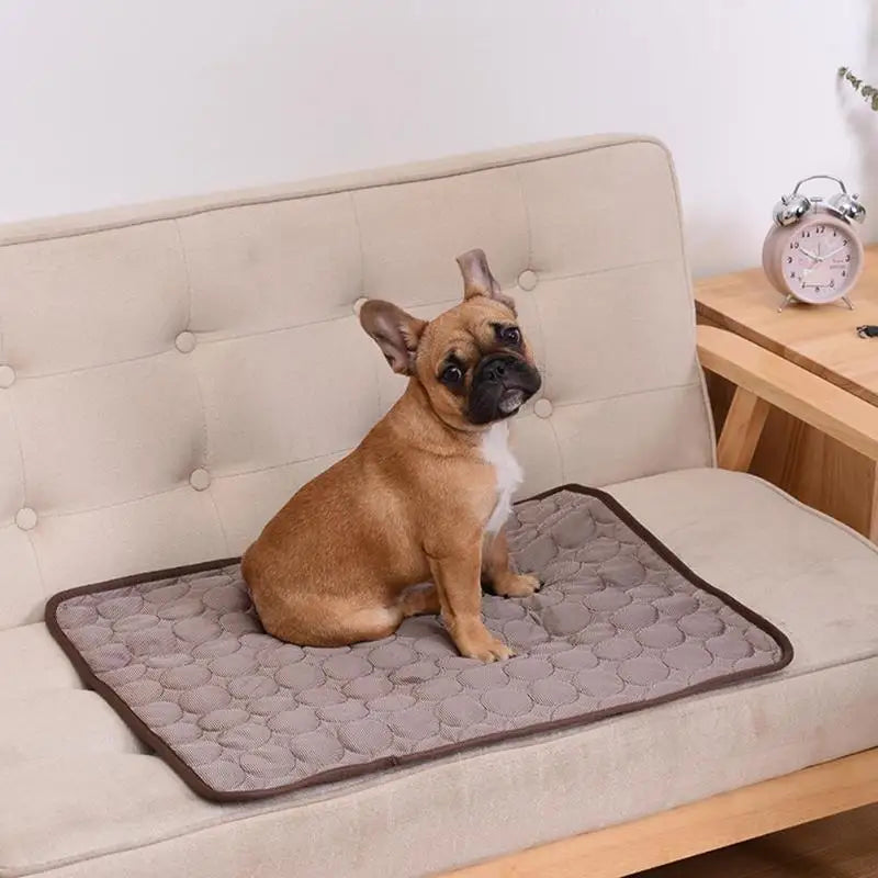 Breathable Cooling Mat for Dogs & Cats - Summer Pet Pad