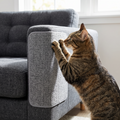 Cat scratching a self-adhesive scratch guard on a sofa corner