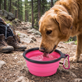 Foldable travel bowl in use outdoors with a dog